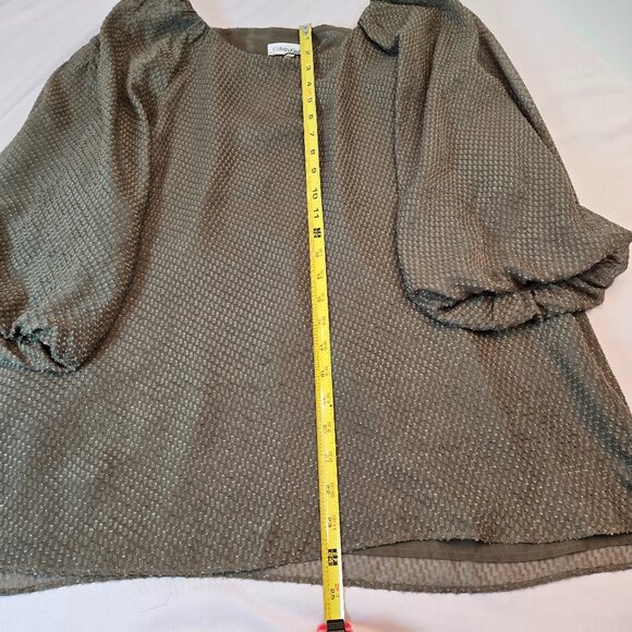 CALVIN KLEIN Women's Lantern Sleeve Clip Chiffon Blouse Sz: L   Green - Picture 13 of 13